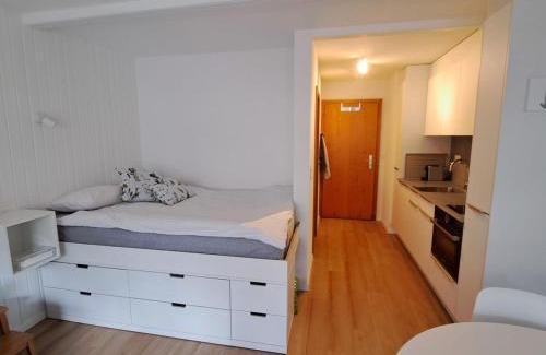 Ovronnaz Apartment | Le Flocon Studio in Ovronnaz close to the baths