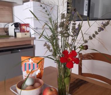 Eyguieres Apartment | Le gîte d'églantine