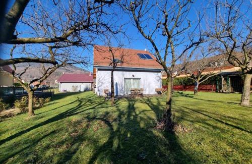 Metzeral House | Le gîte de Cléo, maison spacieuse et paisible.
