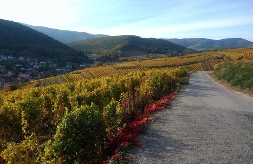 Soultzmatt Apartment | Le gîte de la vallée noble