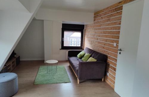 Sarreguemines Apartment | Le Green Duplex moderne en hypercentre