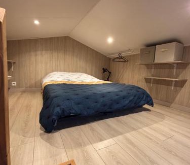 Montaudran - Lespinet Apartment | Le Green KUB