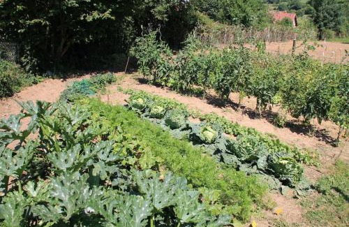 Mesnil-Follemprise Bed & Breakfast | Le Haut Mesnil-3