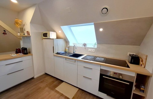 Saverne House | Le Jardin des Roses