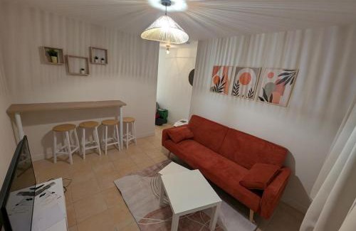 Orleans Apartment | Le joli petit Bannier T2 Neuf , Fibre