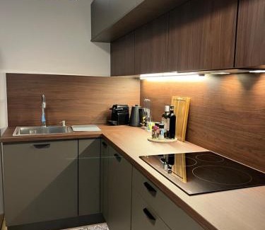 Koenigshoffen Est Apartment | Le K Appartement - Strasbourg