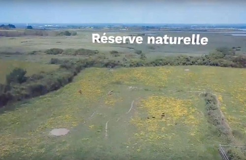 Sene Apartment | Le Luxury