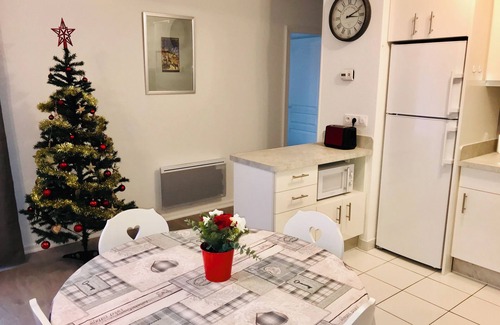 Quartier Saint-Leon Apartment | "LE MANALA" charming 3* furnished apartment in Colmar large terrace, park & private parking lot