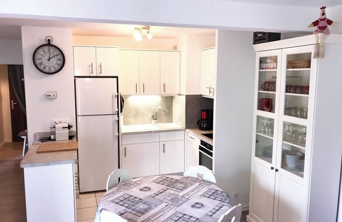 Quartier Saint-Leon Apartment | "LE MANALA" charming 3* furnished apartment in Colmar large terrace, park & private parking lot