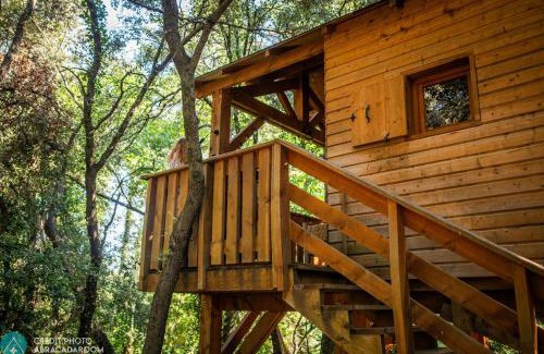 Maureillas-Las-Illas Cabin | Le mas cabanids