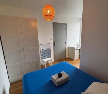 La Roche-sur-Foron Apartment | Le Nébula - rénové - parking - proche centre ville