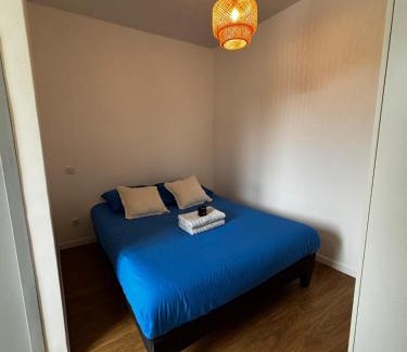 La Roche-sur-Foron Apartment | Le Nébula - rénové - parking - proche centre ville