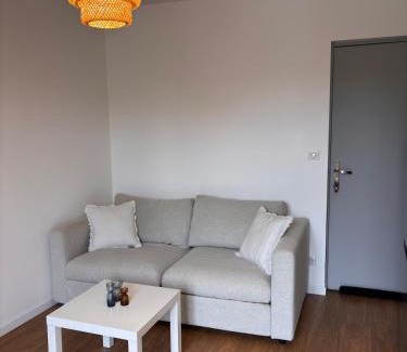 La Roche-sur-Foron Apartment | Le Nébula - rénové - parking - proche centre ville