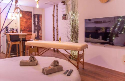 Vierzon Apartment | Le Nichoir Cosy : Évasion Bien-être et Massage