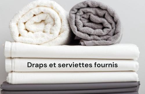 Villefranche-sur-Saone Apartment | Le Nid Urbain