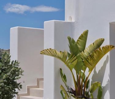 Mykonos Hotel | Le Palme Mykonos