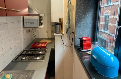 Feronstree et Hors-Chateau Apartment | Le Pavillon de Flore by Maison Brasseurs d'Etoiles - Appartement 2 personnes