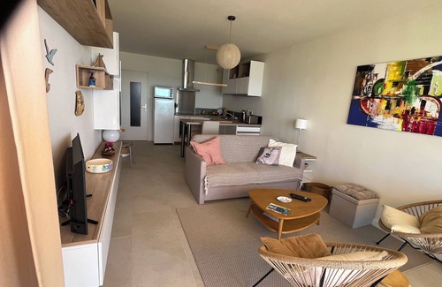 Palavas-les-Flots Apartment | Le petit Albatros 3* : Sea view-Parking-Clim