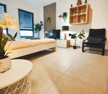 Saint-Louis Apartment | Le Petit Eden - Bâle - Aéroport