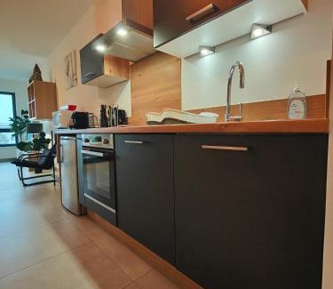 Saint-Louis Apartment | Le Petit Eden - Bâle - Aéroport