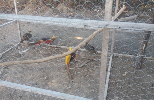 Dompierre-les-Eglises Apartment | Le Petit Champagnat