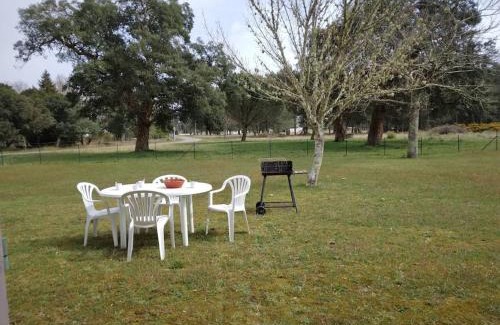 Vielle-Saint-Girons Apartment | LE PETIT FROUAS CENTRE