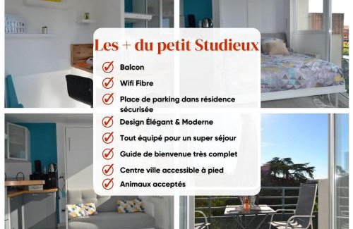 Albi Apartment | Le petit studieux - Parking - Animaux acceptés - Centre ville accessible à pied