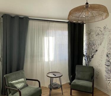 Faubourg North Apartment | Le Pinot - Centre-ville - Gare à 5 mn