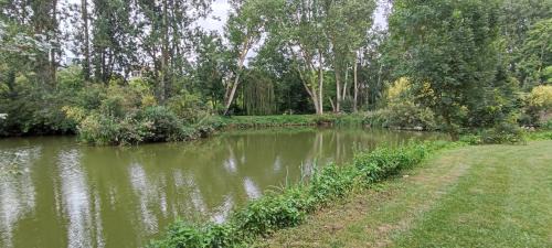 Dadonville Ski Chalet | Le pré aux sages