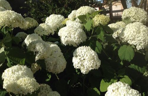 Juriens Bed & Breakfast | Le Pré