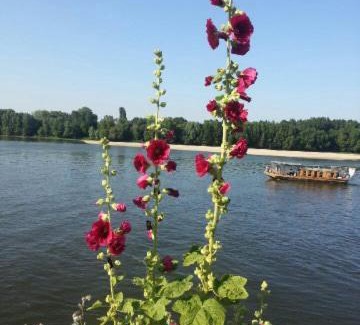 Montsoreau Bed & Breakfast | le prieuré