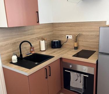 Mont-de-Marsan Apartment | Le Ptit Indus