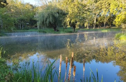 Saint-Paul-en-Born Bed & Breakfast | Le Ranch Amadeus