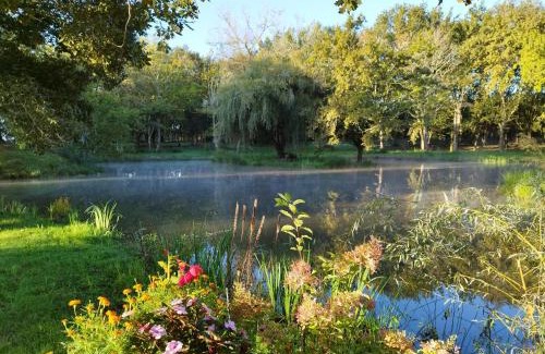 Saint-Paul-en-Born Bed & Breakfast | Le Ranch Amadeus