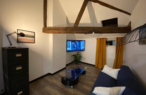 Saumur Apartment | Le repère de Bacchus: apartment 2 steps from the pedestrian center of Saumur