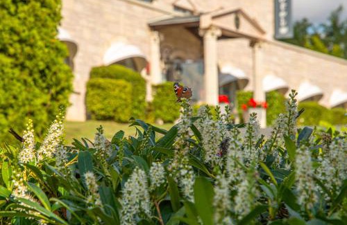 Albert Hotel | Le Royal Picardie