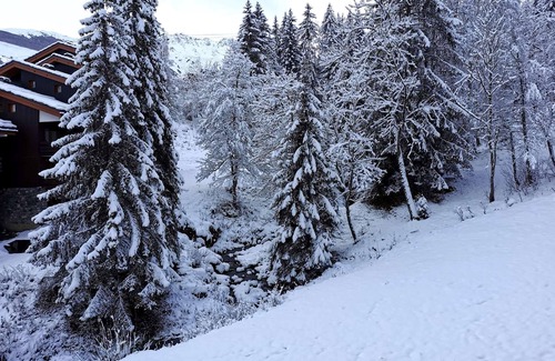 Les Avanchers-Valmorel Apartment | Le Ruisseau 25 - 2-room apartment close to the slopes