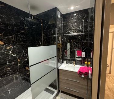 Bourg-en-Bresse Apartment | Le spacieux