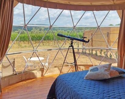 Suvereto Other | Le Stelle di Elisa - Wine & Truffle Glamping