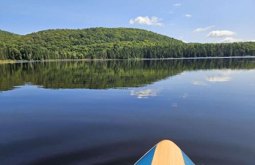 Mauricie Ski Chalet | Le Stuga - Spa Steam room and Lake