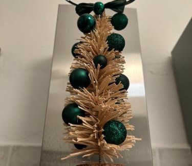 Torvaianica Apartment | Le Terrazze Beachfront, balcony, parking, private access Beach