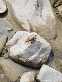 Montelovesco Apartment | Le Tre Rose