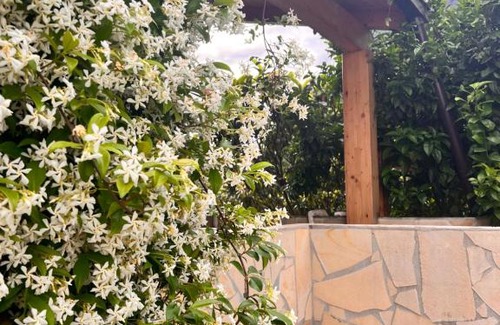 Maratea Bed & Breakfast | Le Tre Rose