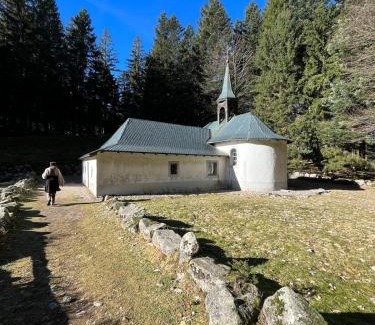 Ventron Ski Chalet | Le Vénérable, 4 étoiles, vue imprenable au coeur des Vosges