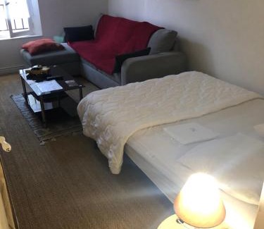 Aurillac Apartment | Le Victor Hugo 3D et sa pizza offerte