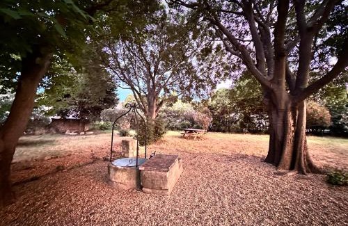 Arles Villa | Le vieux Moulin