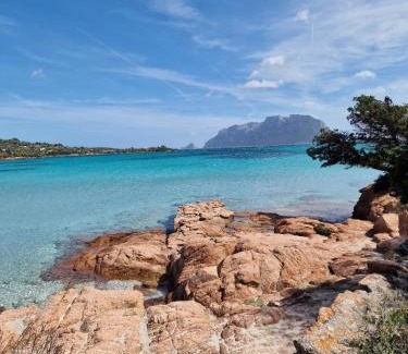 Olbia Apartment | Le Viole