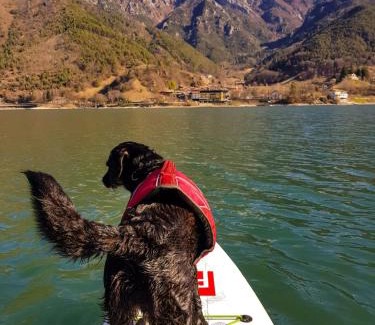 Mezzolago Apartment | Ledro Lake Suite "Pur"