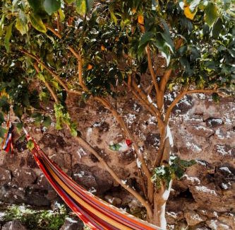 Barano d'Ischia House | Lemon Tree Rooms