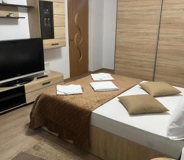 Focsani Apartment | Lemora Apartments 2